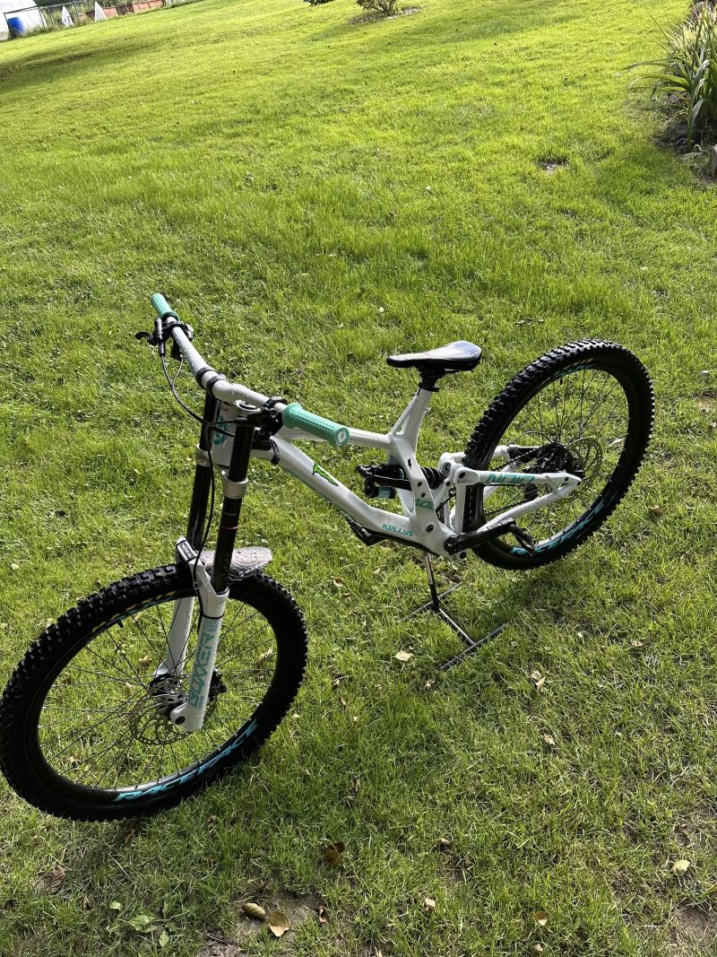 Kellys noid custom 