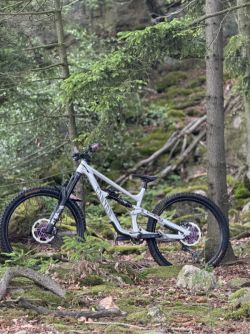 Canyon torque 6
