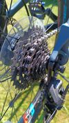 Whyte 303 Petrol 24'' - Junior trail bike