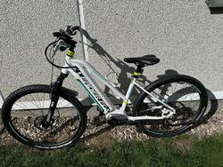 Dámské elektrokolo LEADER FOX Awalon 29" Rám 18"