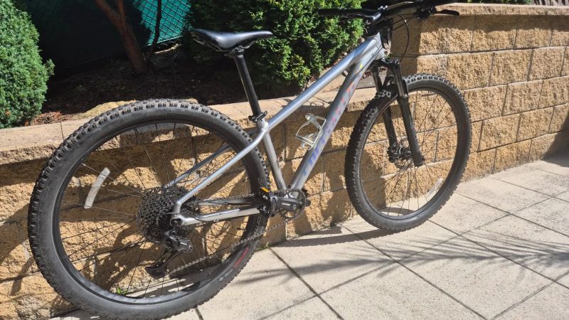 Rockhopper Specialized 