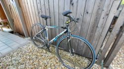 BH Fitness SH 105 3x10
