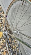 Zanella silnicni ocel retro