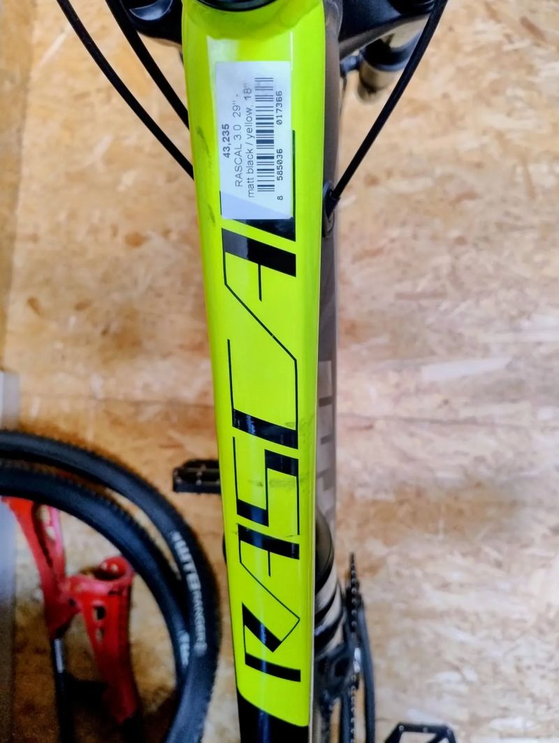 CTM Rascal 3.0 29"