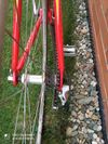 PRODEJ : Prodám silniční kolo WILIER Triestana velikosti 50