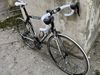 TREK vel. 58