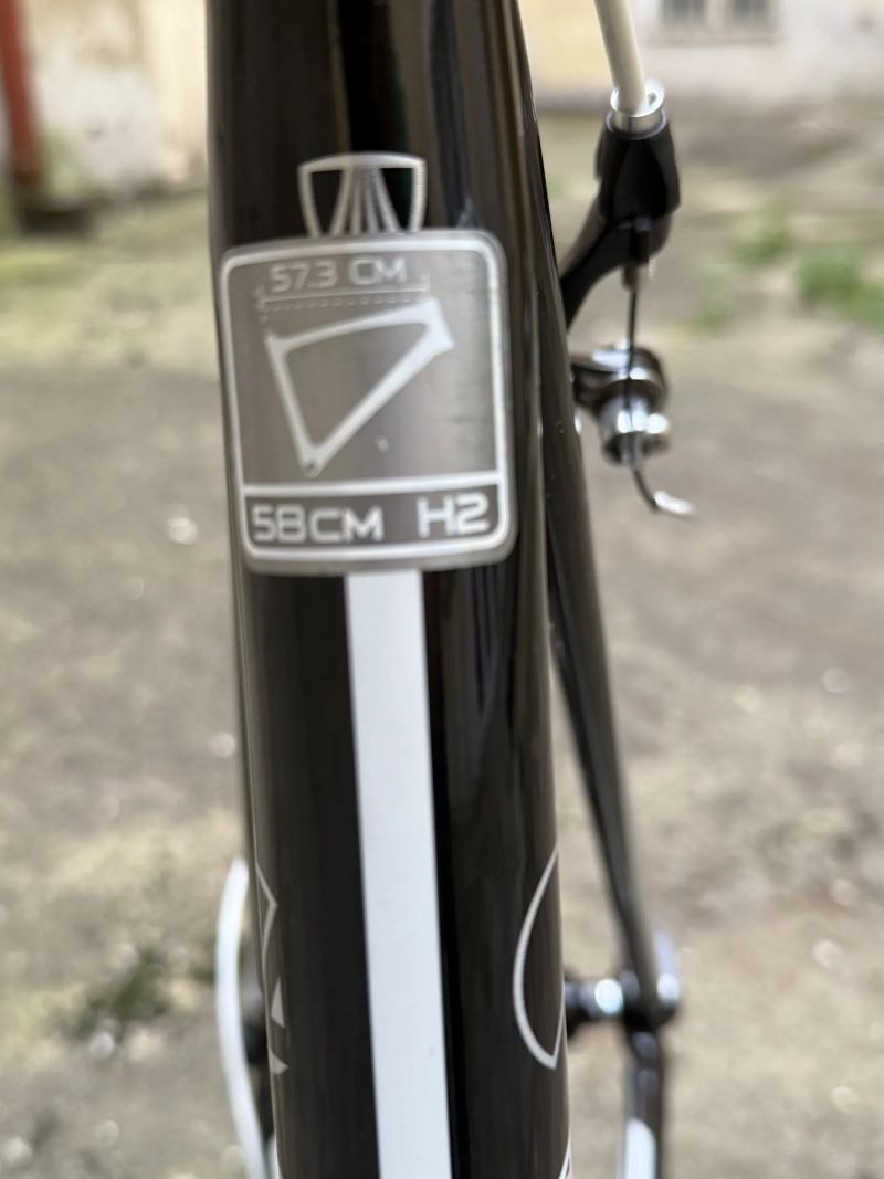 TREK vel. 58
