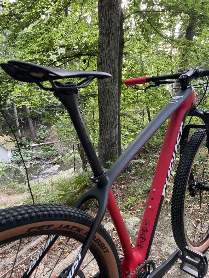 THRUST 29” carbon