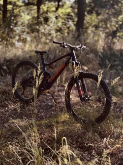 Lapierre Spicy CF 7.9