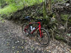 Specialized Sirrus Pro Carbon Disc