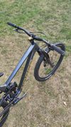 NORCO sight c2 - L