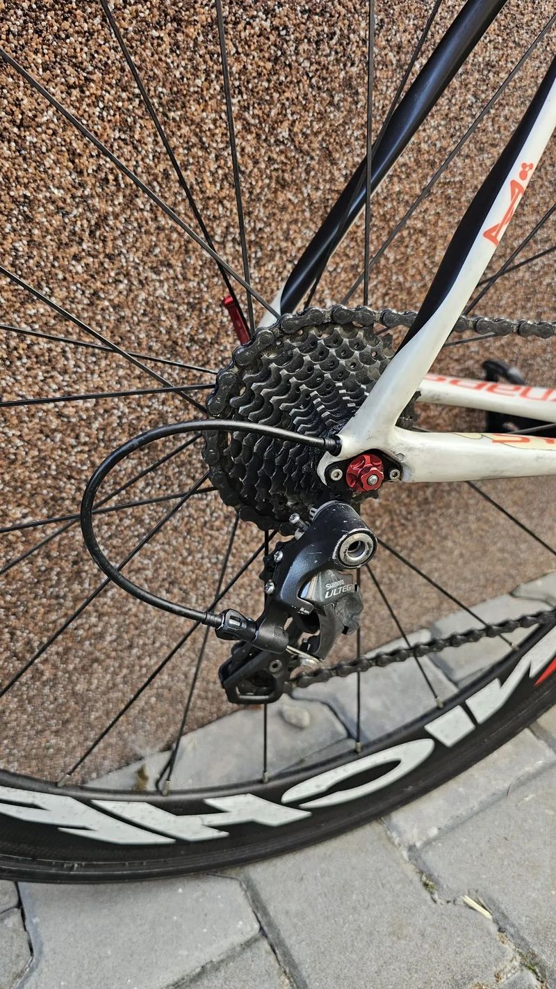 Cannondale Synapse Carbon