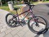Orbea MX 20 Dirt