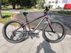 Orbea MX 20 Dirt