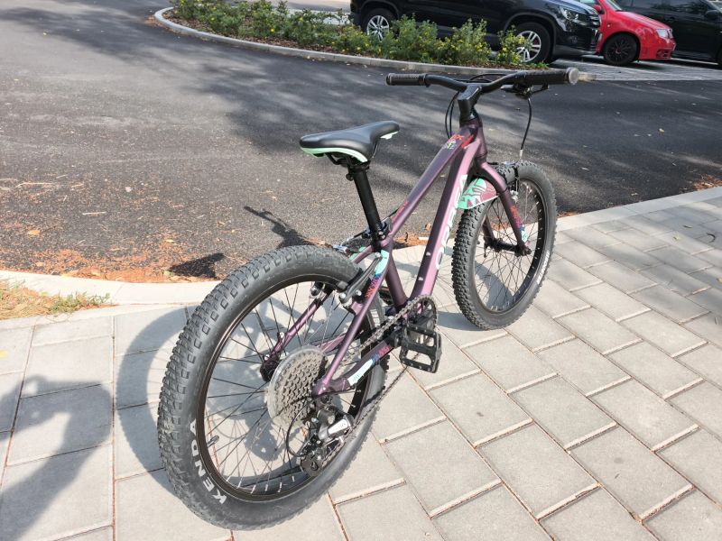 Orbea MX 20 Dirt