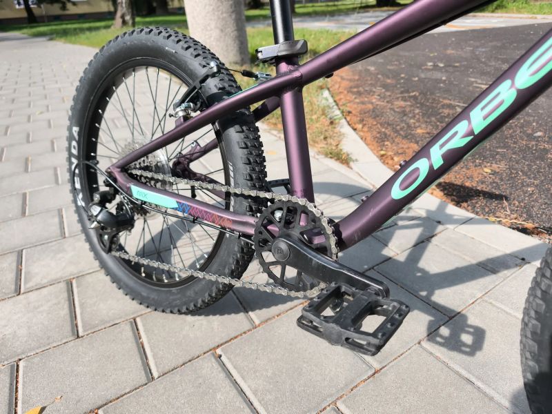 Orbea MX 20 Dirt