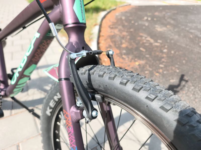 Orbea MX 20 Dirt