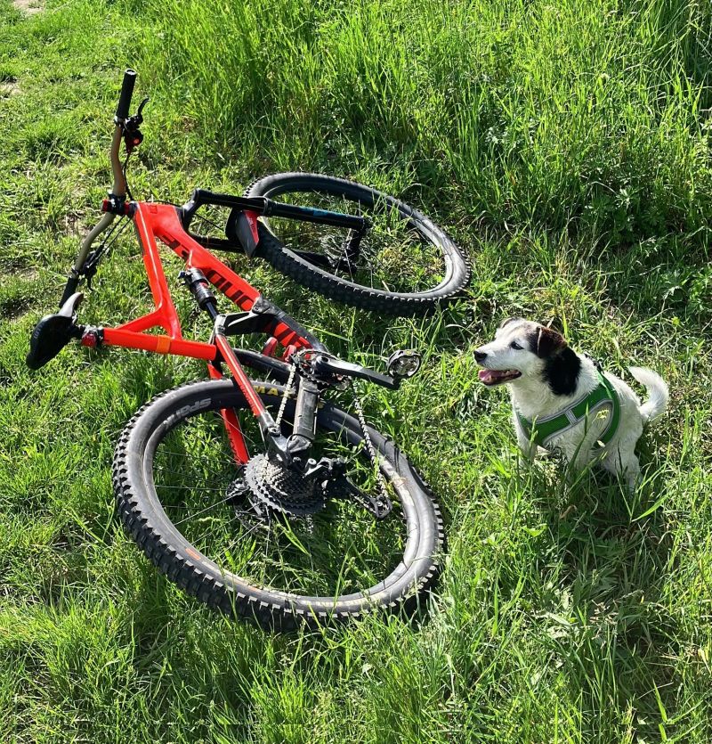 Cannondale Yekyll 3 2017