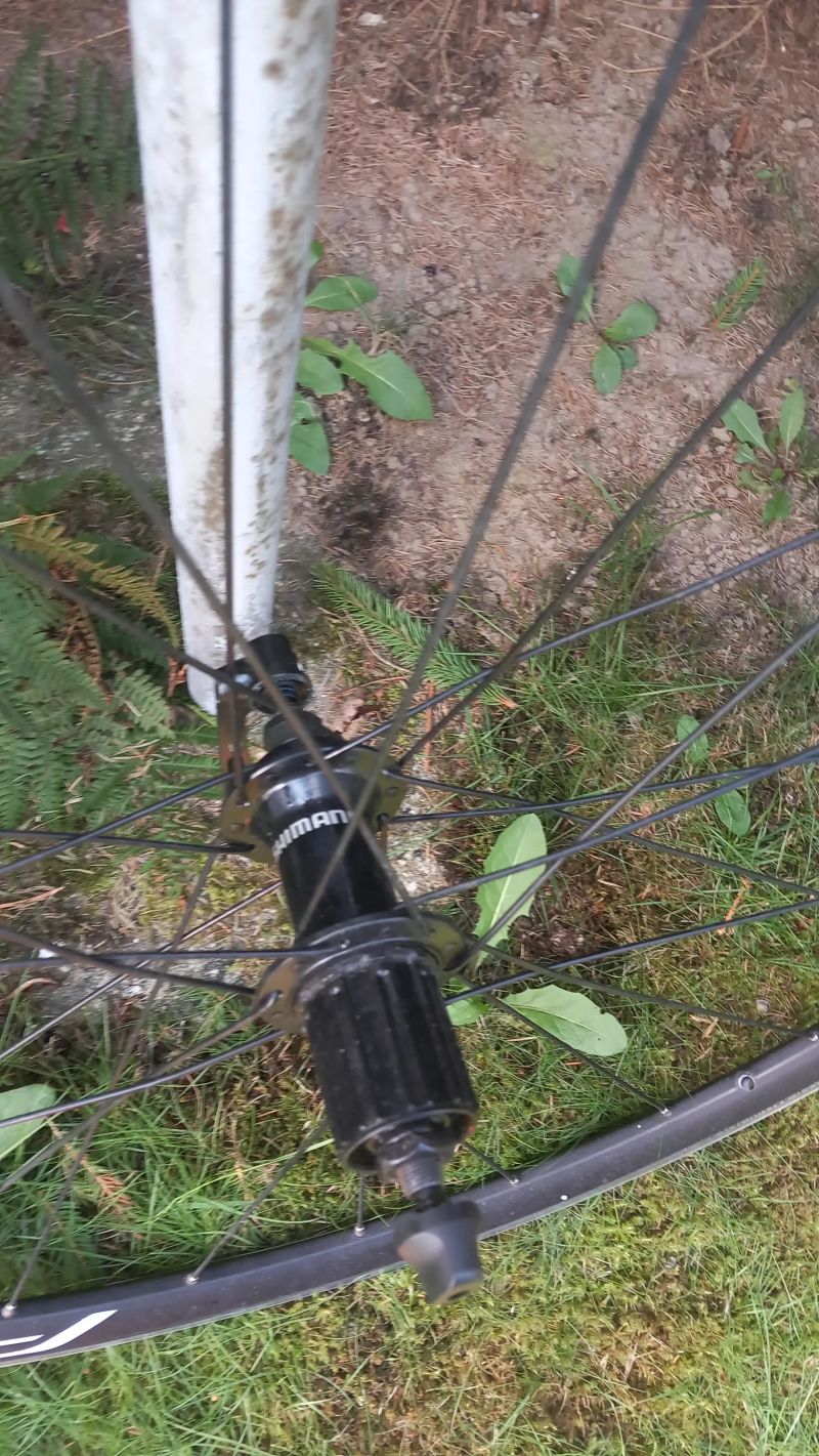 Shimano kola WH-RS100