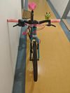 Orbea mx 24 