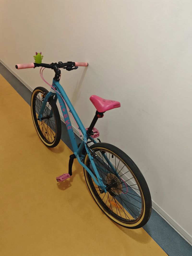 Orbea mx 24 