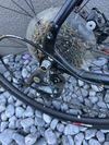 Specialized Diverge A1