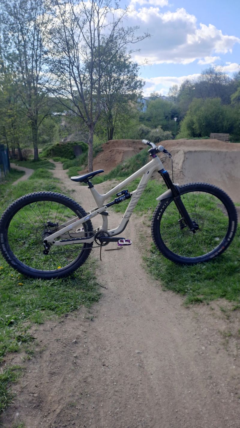 Canyon spectral al5 2022