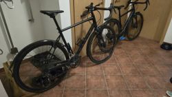 Marin Gestalt