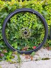 Nová hliníková silniční kola na kotoučové brzdy Giant PR2, ořech Shimano, včetně plášťů a kotoučů