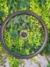 Nová hliníková silniční kola na kotoučové brzdy Giant PR2, ořech Shimano, včetně plášťů a kotoučů