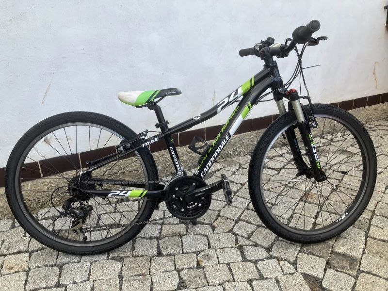 Cannondale 24