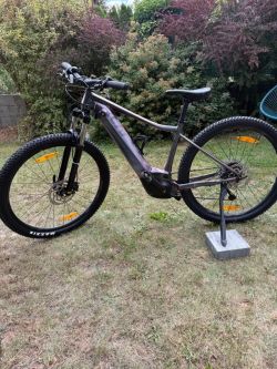 Giant Liv Vall E+ 29" 25 km/h, M Echeveria