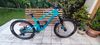 Santa Cruz 5010cc