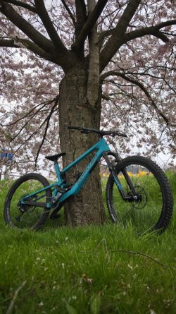 Santa Cruz 5010cc