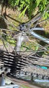 Wheeler Chiostra Shimano 600