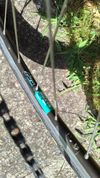 Wheeler Chiostra Shimano 600