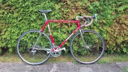 Wheeler Chiostra Shimano 600