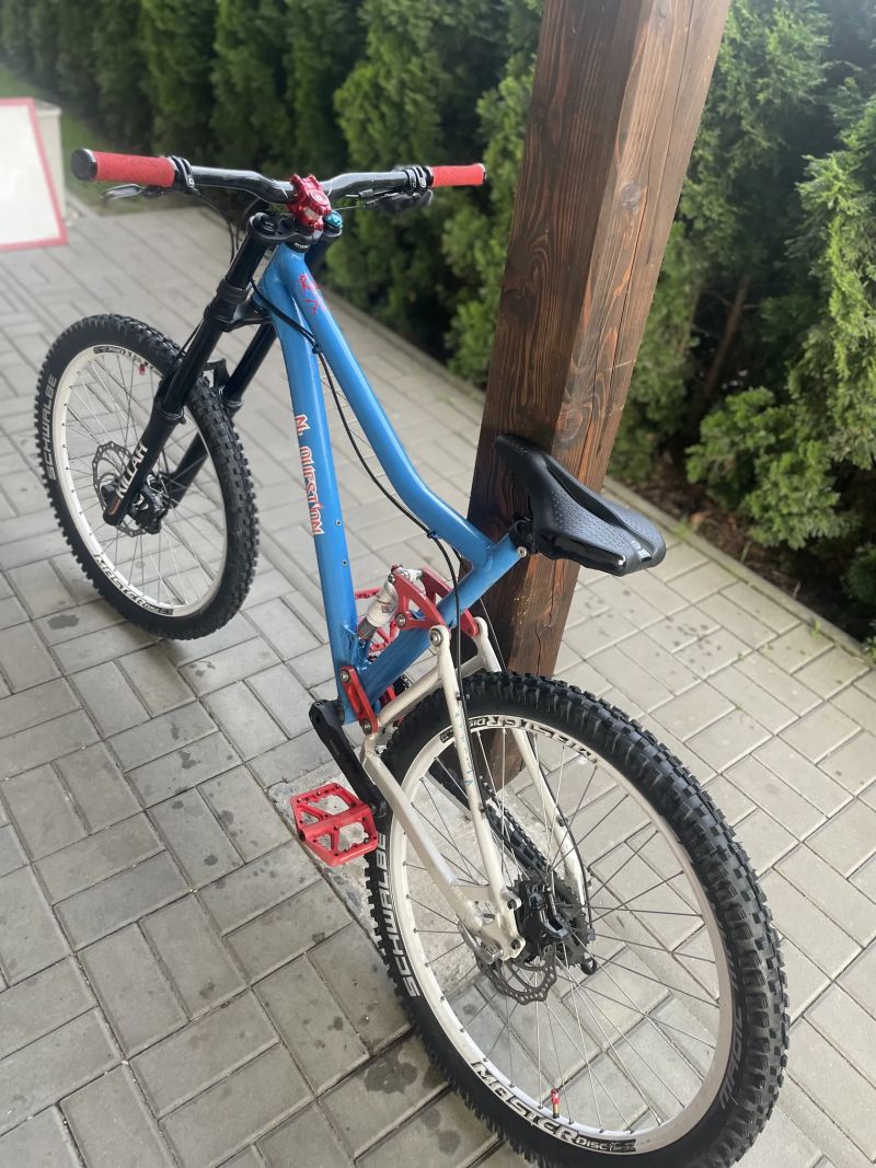 Custom DH bike