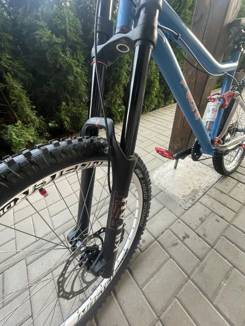 Custom DH bike