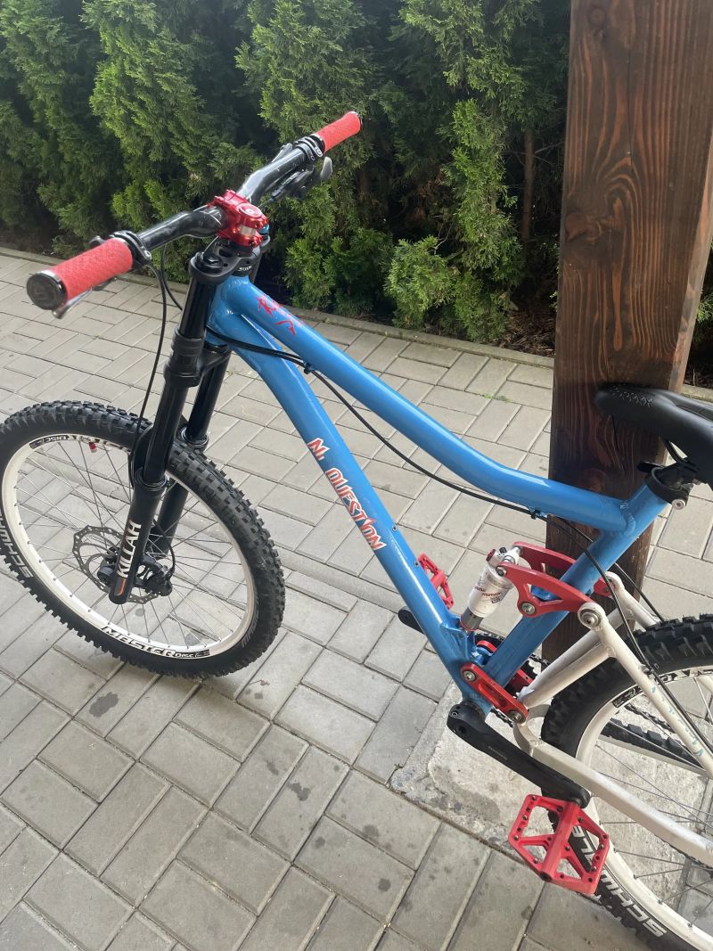 Custom DH bike