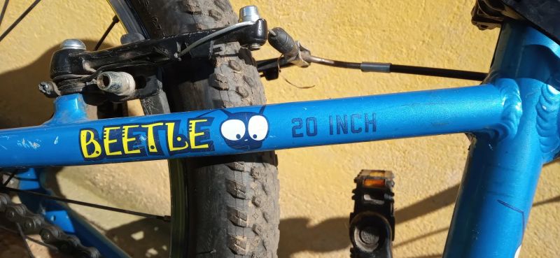 Prodám dětské chlapecké kolo Apache Beetle 20"