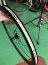 Focus Izalco Max 8.8