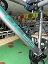 Focus Izalco Max 8.8