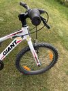 Giant XTC 20