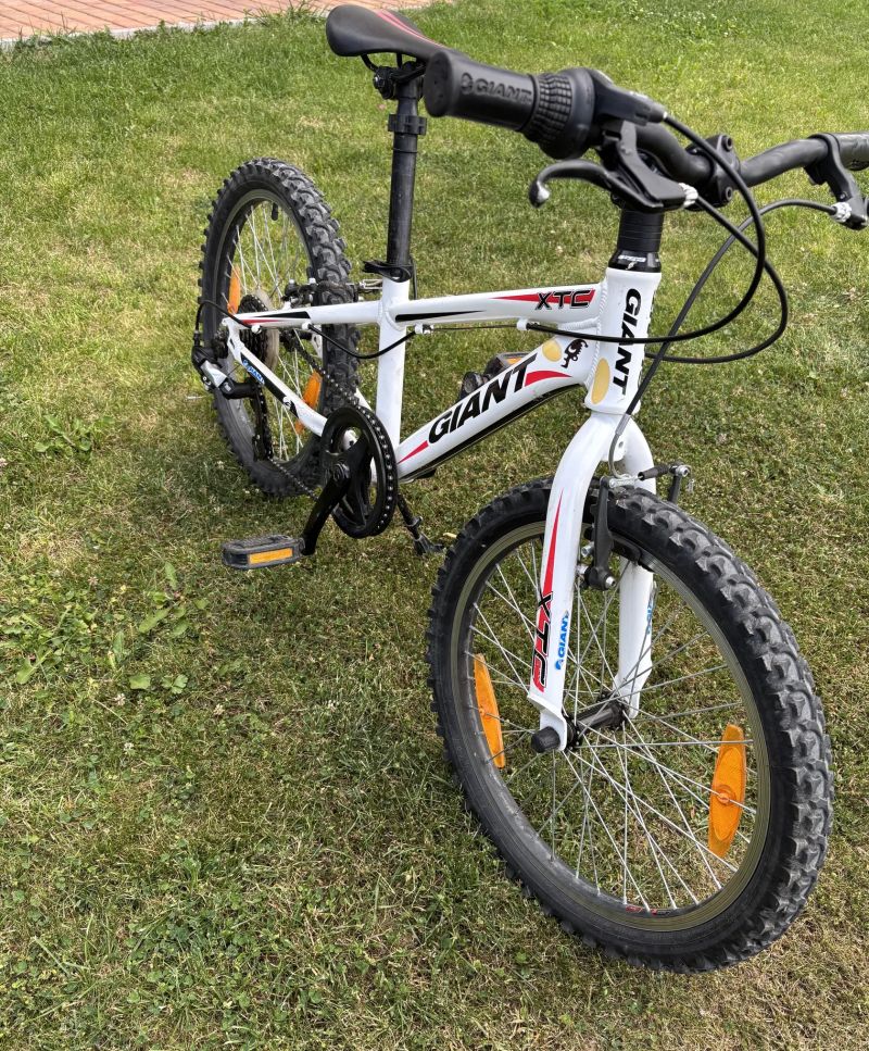 Giant XTC 20
