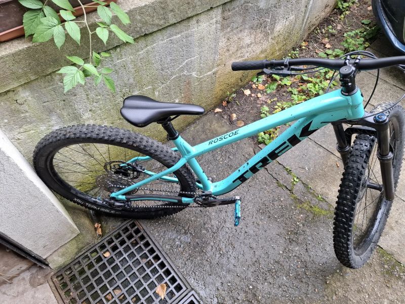 Trek Roscoe 7