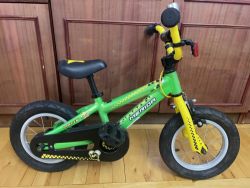 Merida Dětské kolo Merida Matts J.12 Matt Green