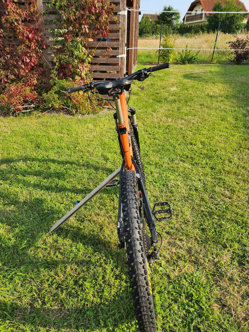 RB IQ 275