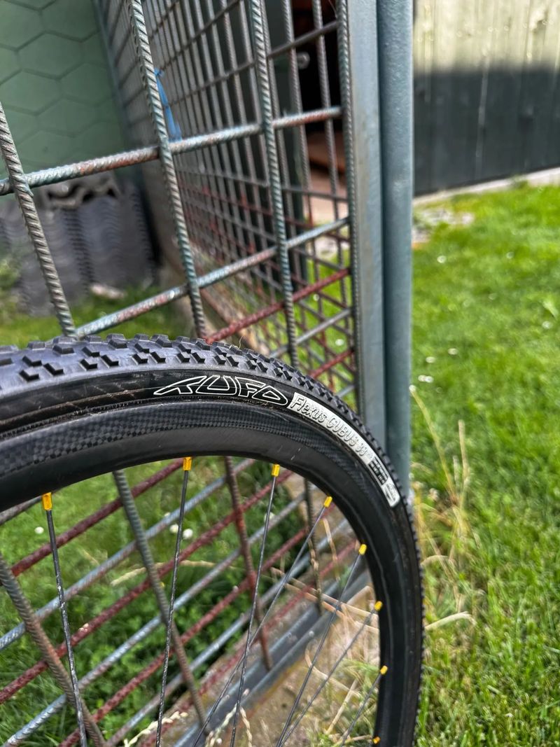 Giant TCX