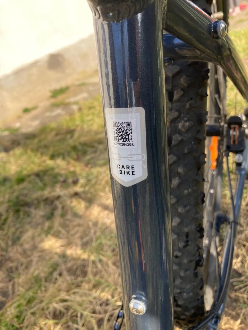 Elektro kolo Levit